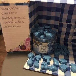 Turquoise Waters wax melts